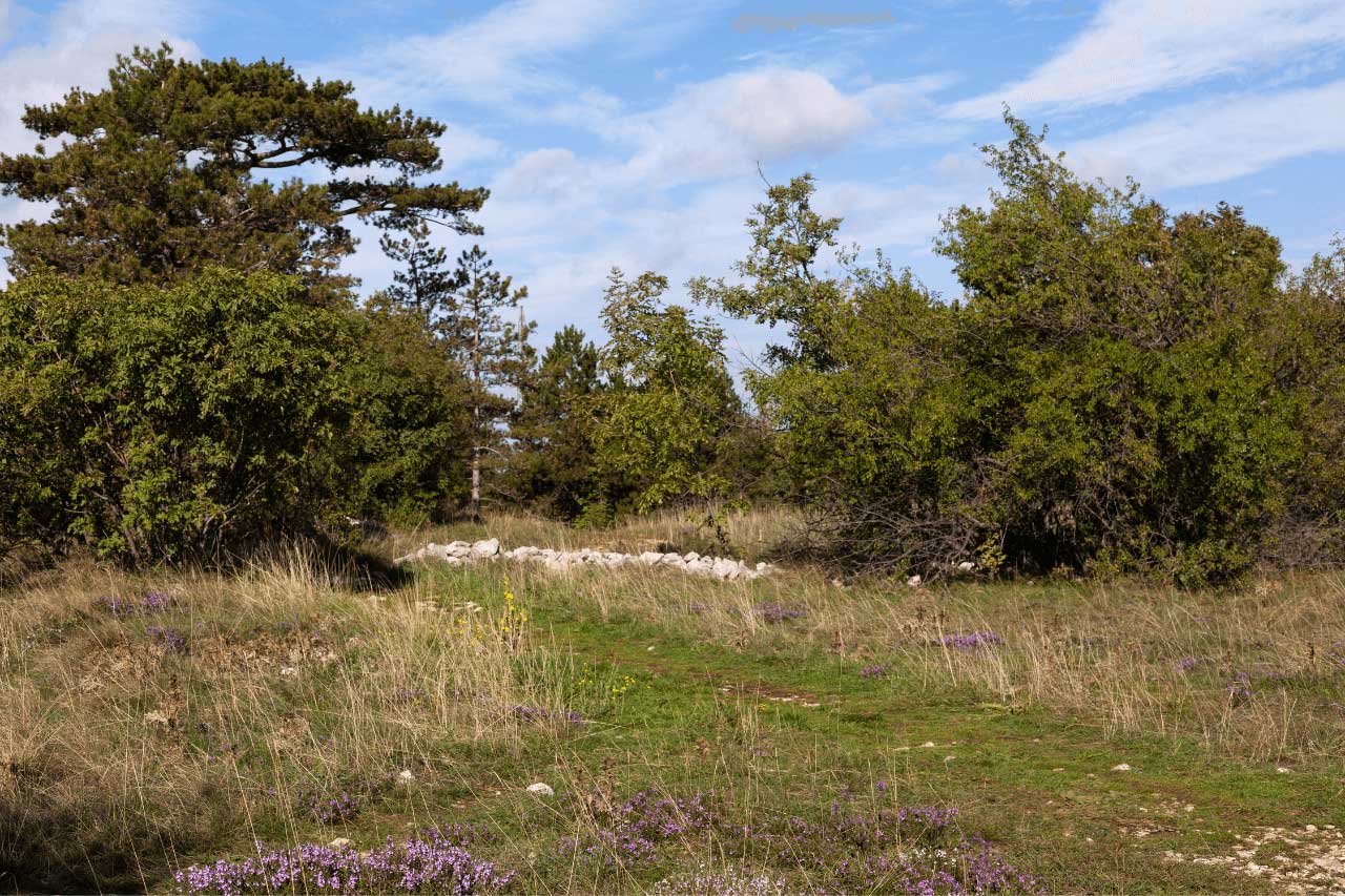 Riserva-della-Foiba-di-Basovizza-Trieste-La-Bussola-on-the-Road