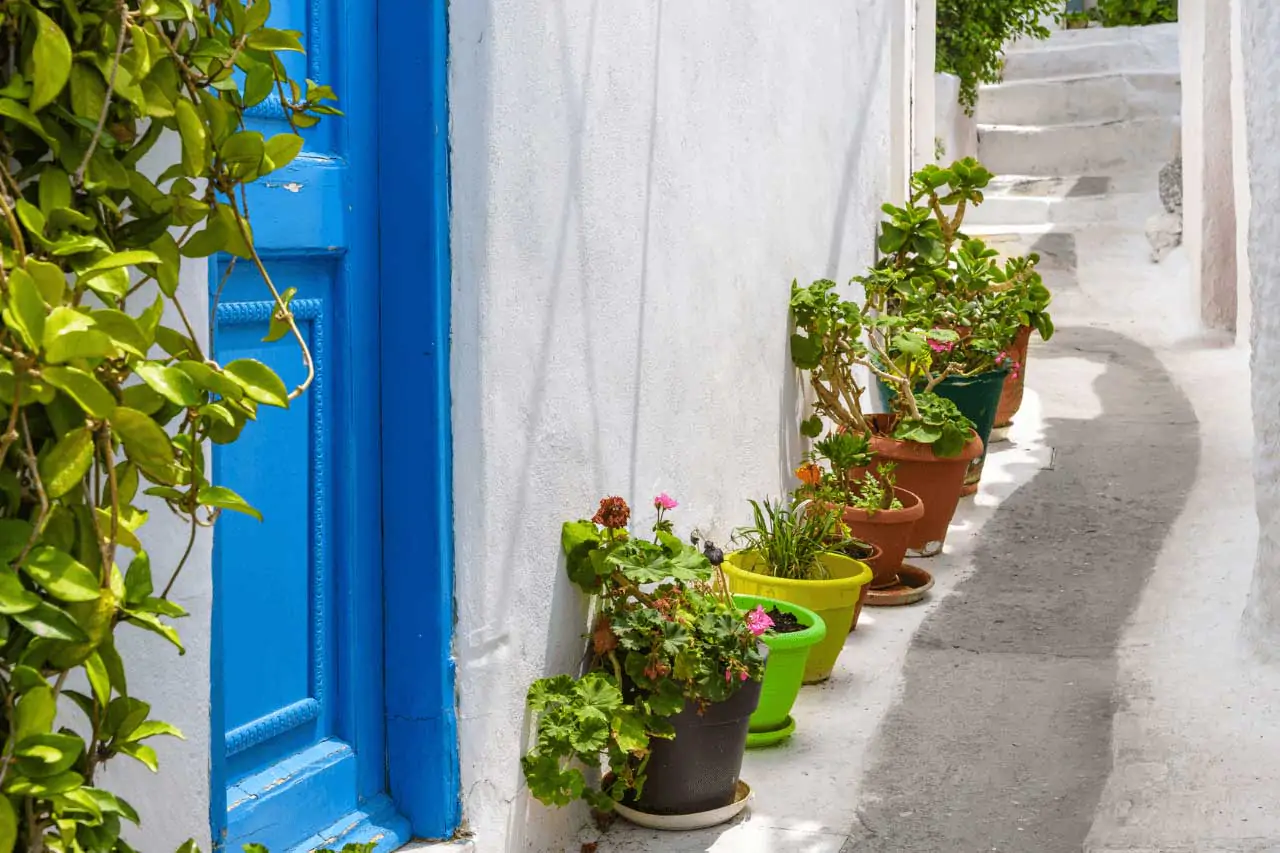 Atene-La-Bussola-on-the-Road-7