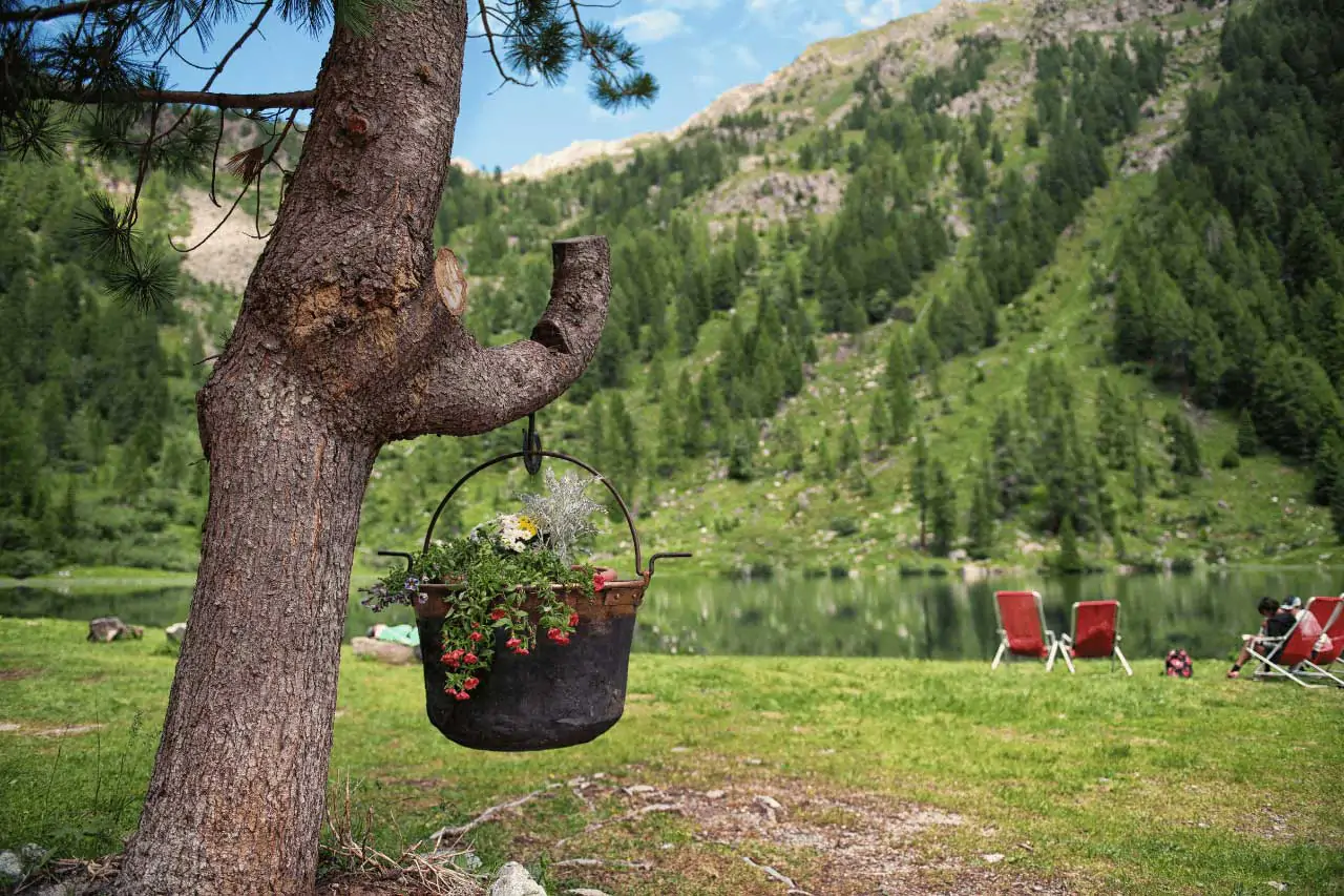 Settimana-Verde-in-Val-Rendena-La-Bussola-on-the-Road-11