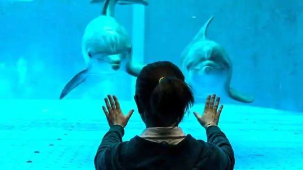 acquario-di-genova-labussola