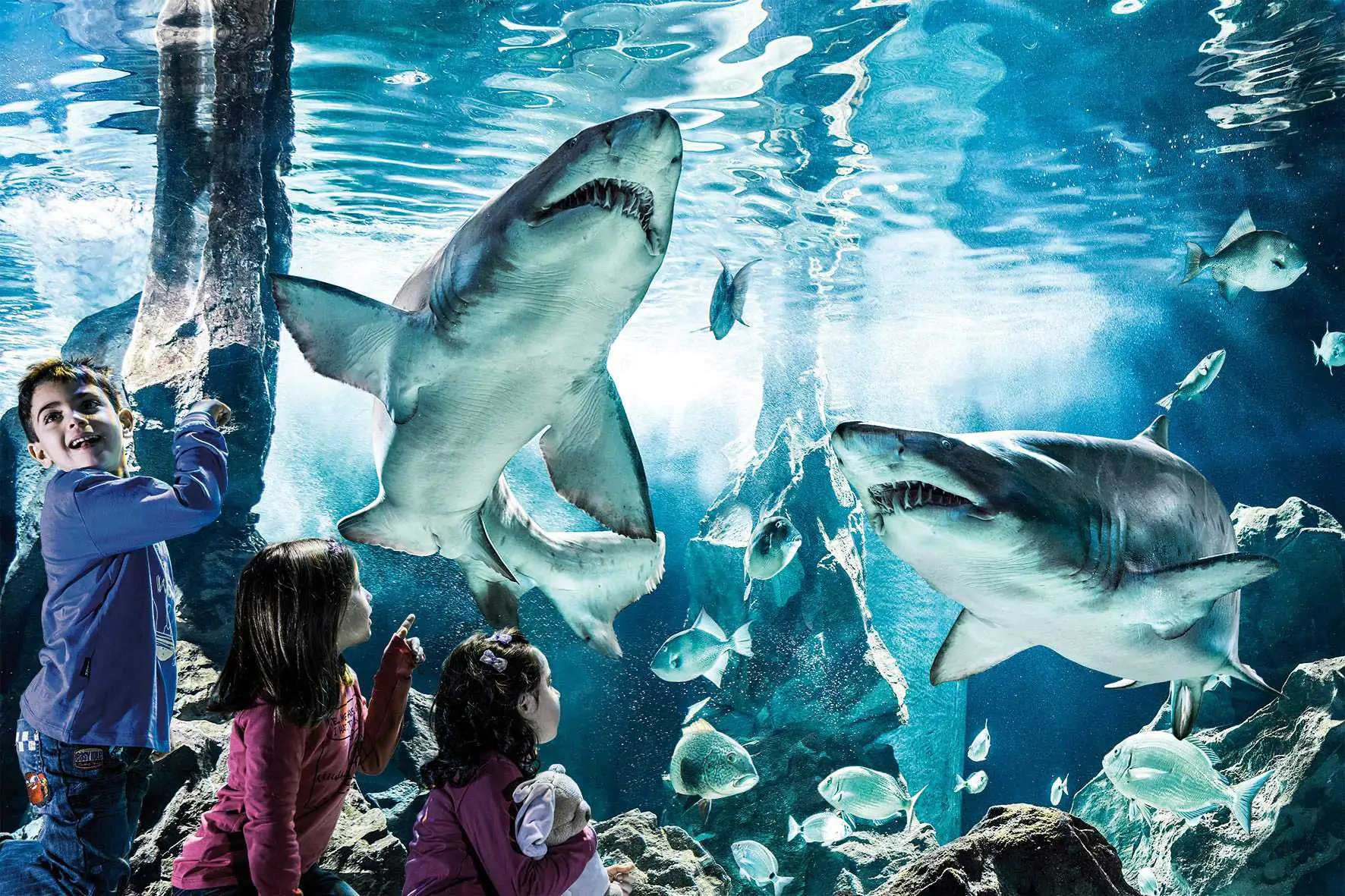 labussola-acquario-di-genova