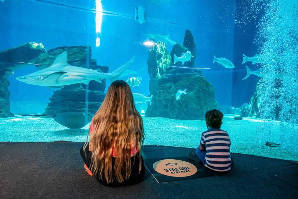 labussola-biglietti-ingresso-acquario-di-genova