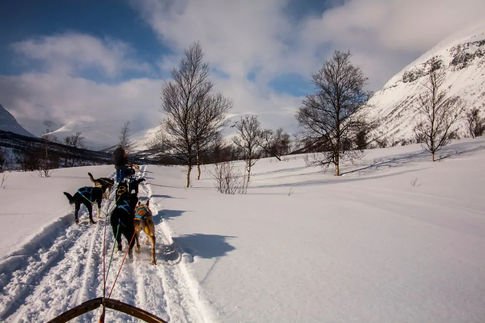 safari-in-motoslitta